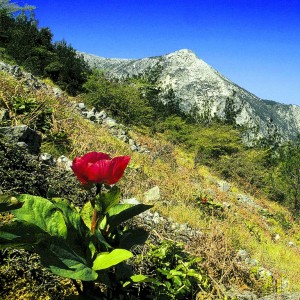 View across the valley to Kerkis on Samos, Greece