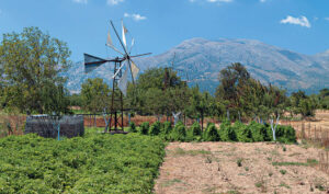 Walking in Eastern Crete