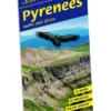 Pyrenees 9 front cover