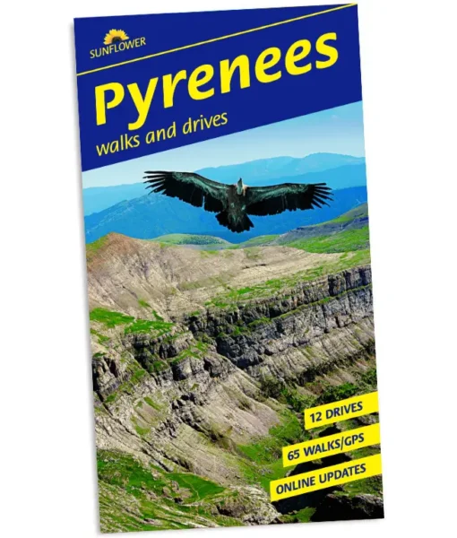 Pyrenees 9 front cover