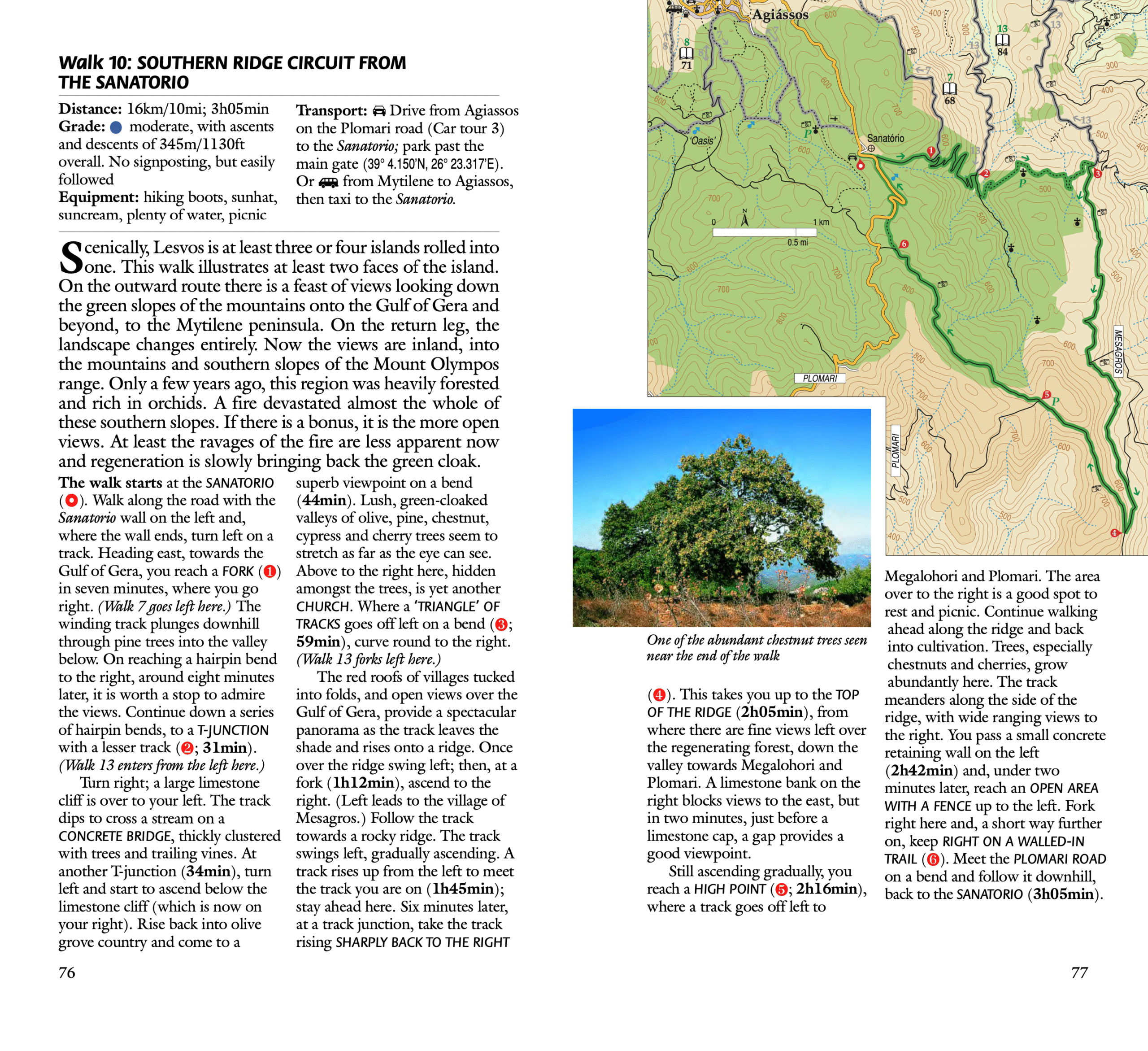 Lesvos 5 - sample page 2