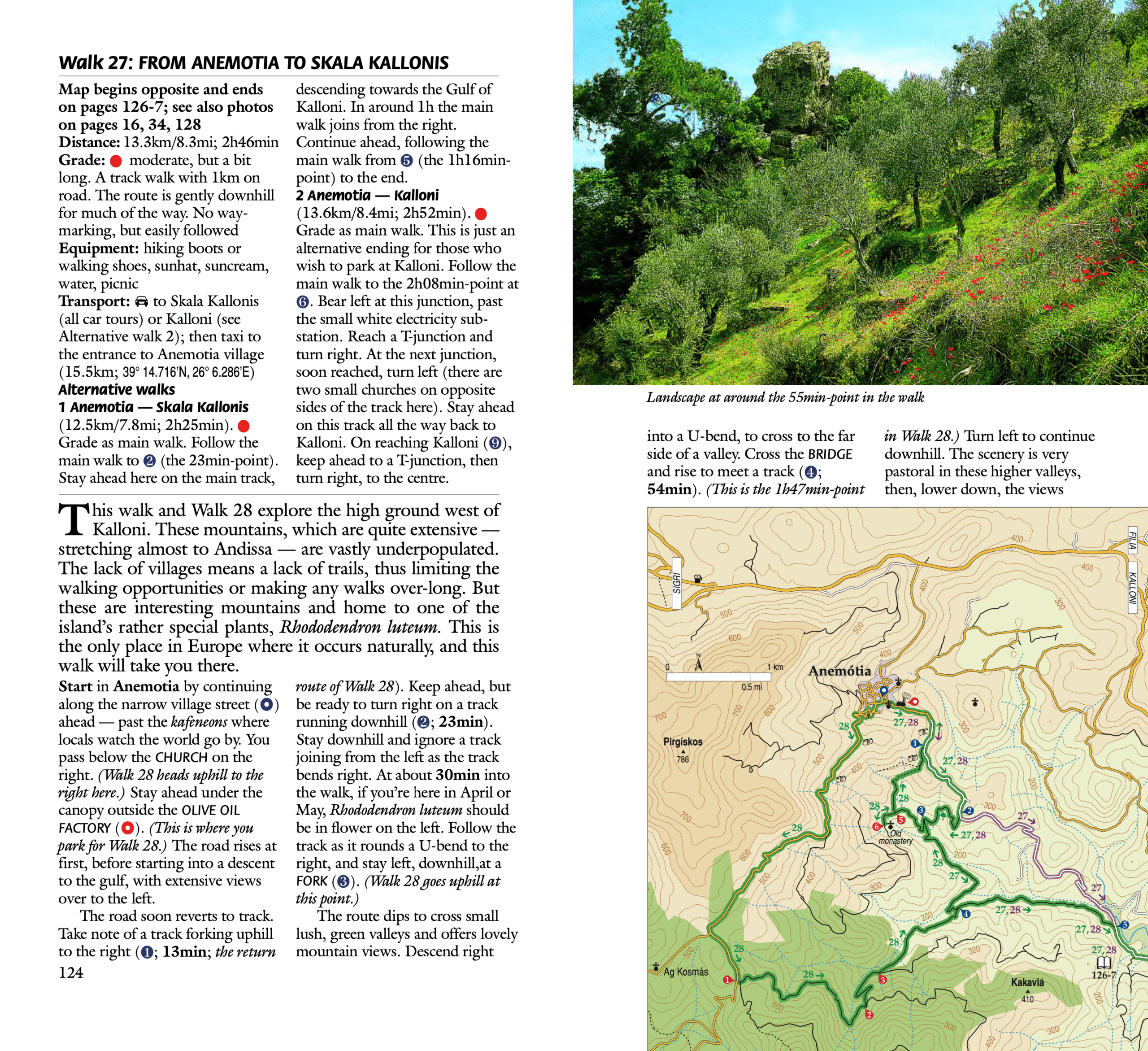 Lesvos 5 - sample page 3